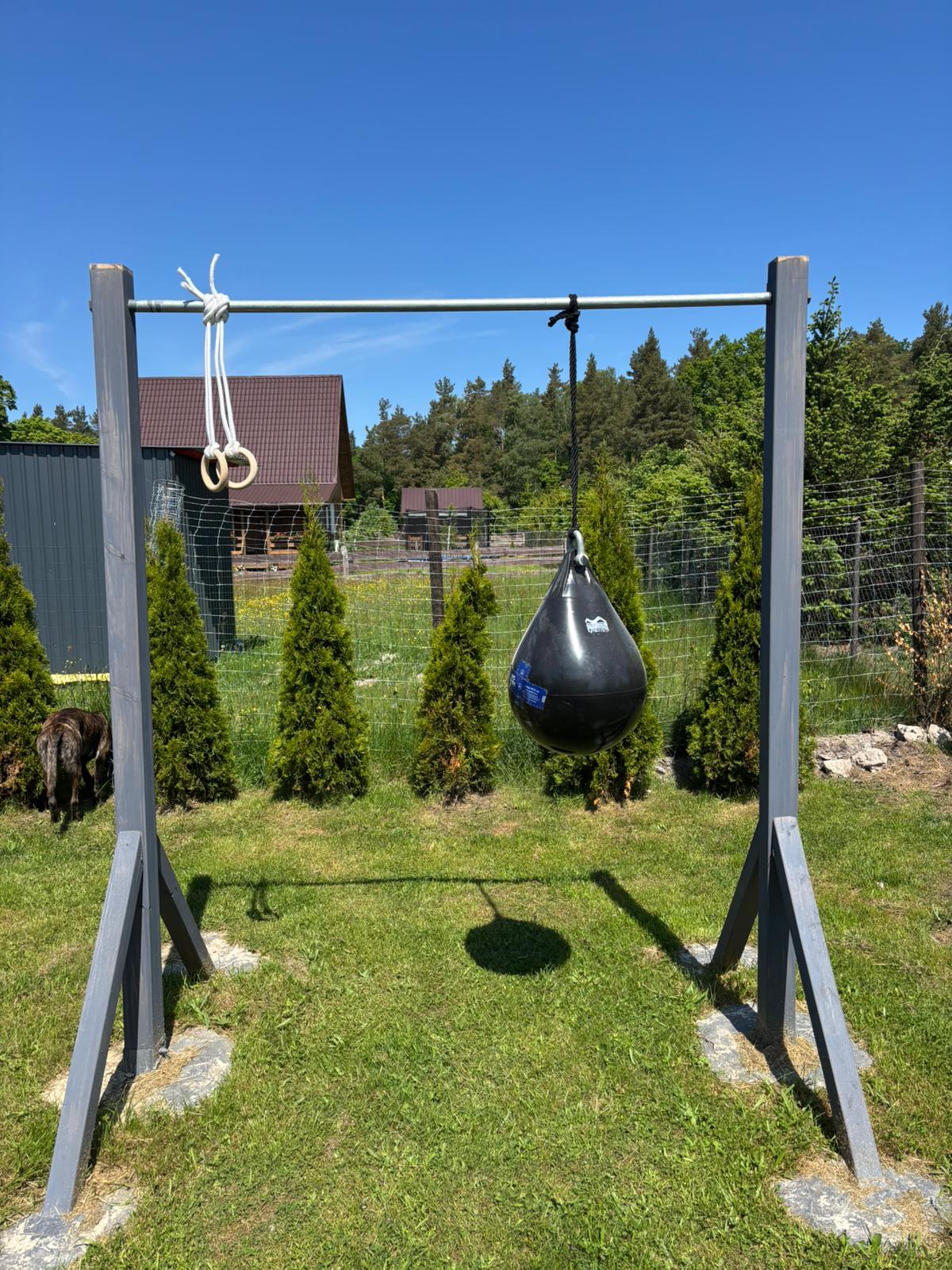 Boxsack im Garten vor Thuja-Hecke
