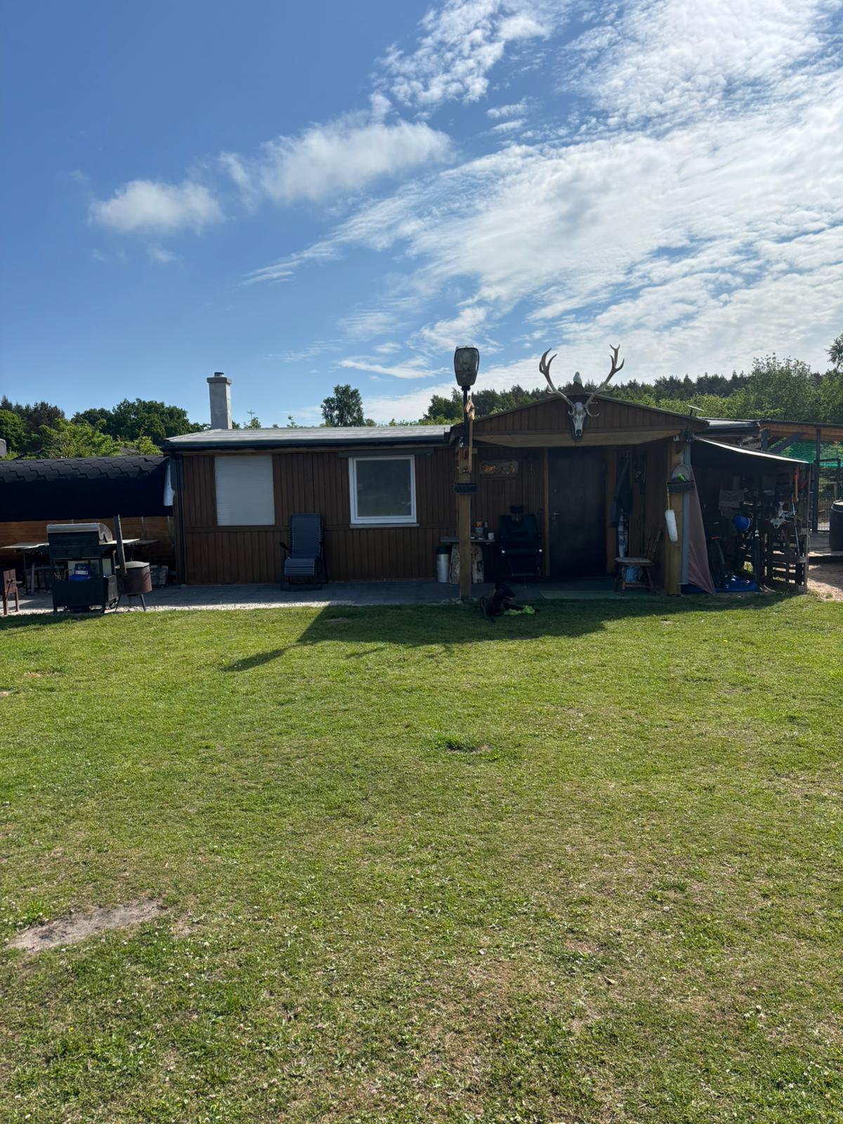 Holzhütte mit Geweih und Hund vor der Tür